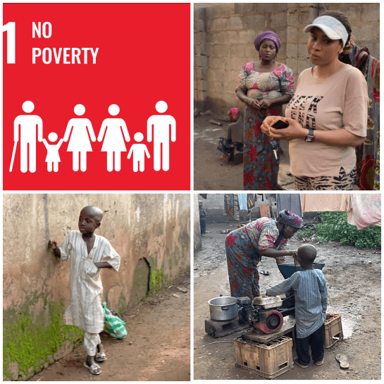 SDG 1